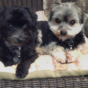 Meet your Posher, Catherine